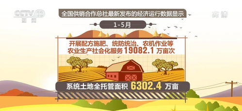 前五个月农产品销售额达9918.5亿元 同比增长27.7